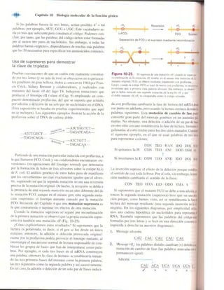 Griffiths anthony   genetica (7ed)