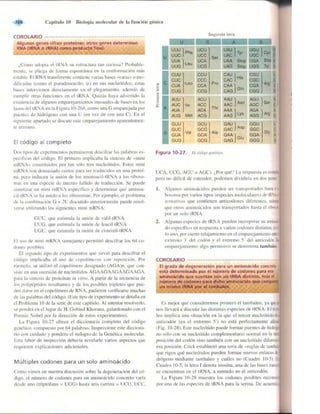 Griffiths anthony   genetica (7ed)