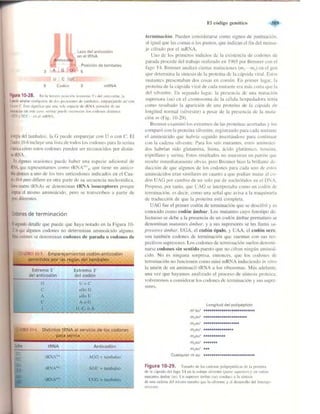 Griffiths anthony   genetica (7ed)