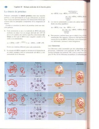 Griffiths anthony   genetica (7ed)