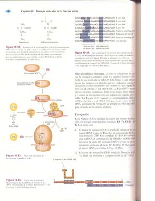 Griffiths anthony   genetica (7ed)