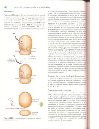 Griffiths anthony   genetica (7ed)