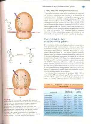 Griffiths anthony   genetica (7ed)