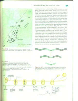 Griffiths anthony   genetica (7ed)