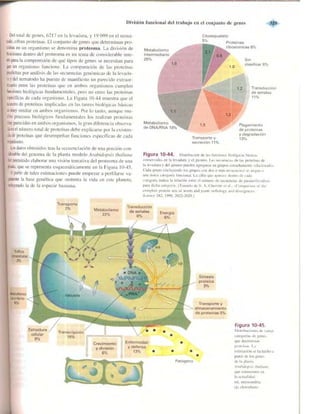 Griffiths anthony   genetica (7ed)