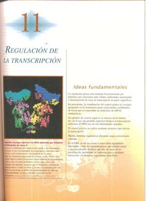 Griffiths anthony   genetica (7ed)