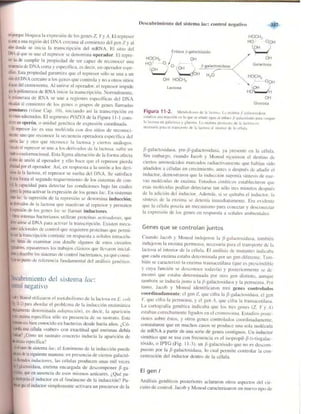 Griffiths anthony   genetica (7ed)