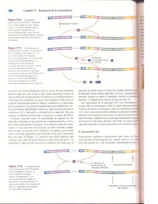 Griffiths anthony   genetica (7ed)