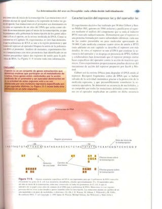 Griffiths anthony   genetica (7ed)