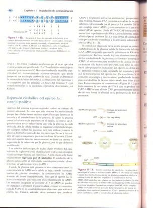 Griffiths anthony   genetica (7ed)