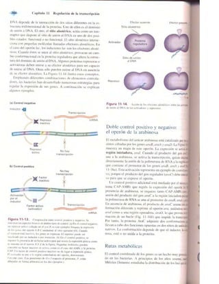 Griffiths anthony   genetica (7ed)