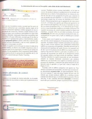 Griffiths anthony   genetica (7ed)