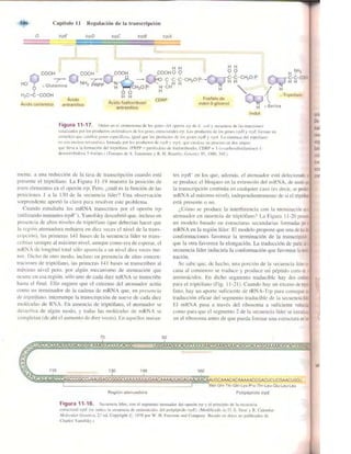 Griffiths anthony   genetica (7ed)