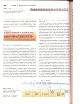 Griffiths anthony   genetica (7ed)