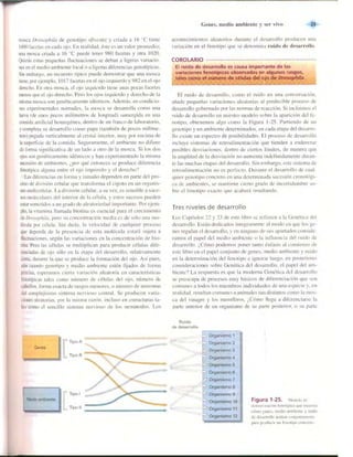 Griffiths anthony   genetica (7ed)