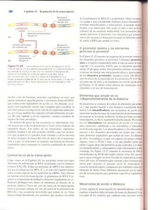 Griffiths anthony   genetica (7ed)