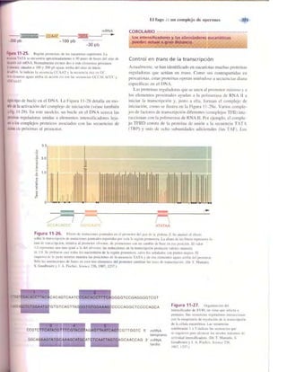 Griffiths anthony   genetica (7ed)