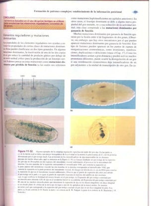 Griffiths anthony   genetica (7ed)