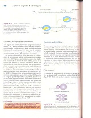 Griffiths anthony   genetica (7ed)