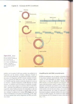 Griffiths anthony   genetica (7ed)