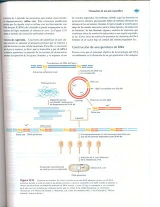 Griffiths anthony   genetica (7ed)