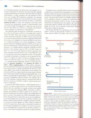 Griffiths anthony   genetica (7ed)