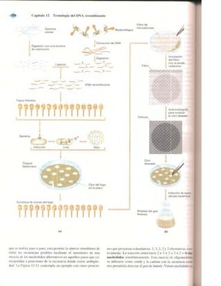 Griffiths anthony   genetica (7ed)