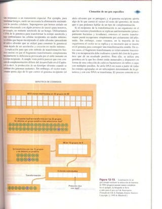 Griffiths anthony   genetica (7ed)