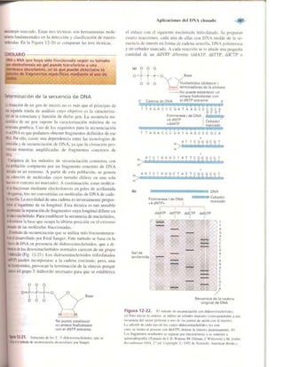 Griffiths anthony   genetica (7ed)