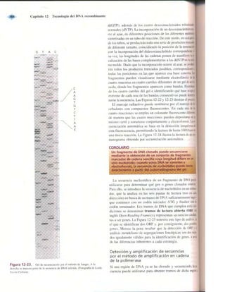 Griffiths anthony   genetica (7ed)