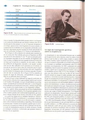 Griffiths anthony   genetica (7ed)