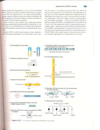 Griffiths anthony   genetica (7ed)