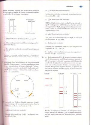 Griffiths anthony   genetica (7ed)