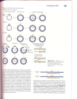 Griffiths anthony   genetica (7ed)