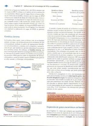 Griffiths anthony   genetica (7ed)