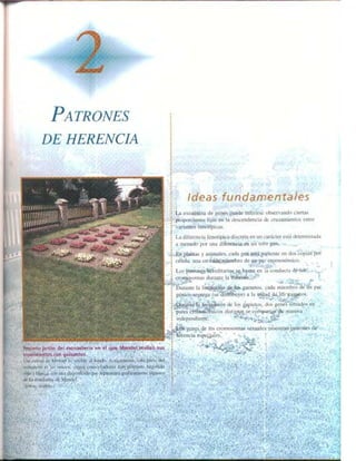 Griffiths anthony   genetica (7ed)