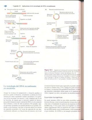 Griffiths anthony   genetica (7ed)