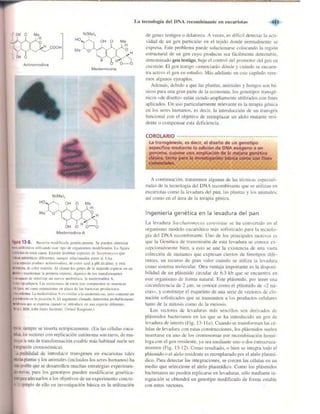 Griffiths anthony   genetica (7ed)