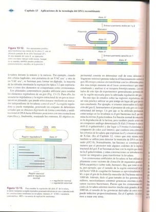Griffiths anthony   genetica (7ed)