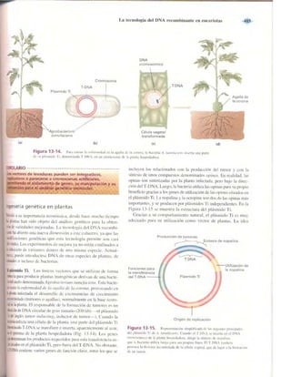 Griffiths anthony   genetica (7ed)