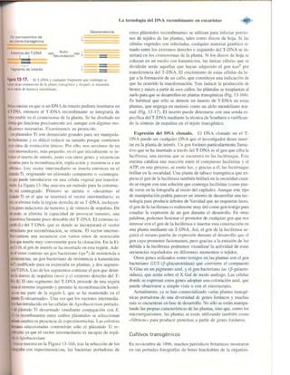 Griffiths anthony   genetica (7ed)