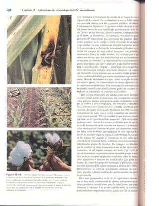 Griffiths anthony   genetica (7ed)