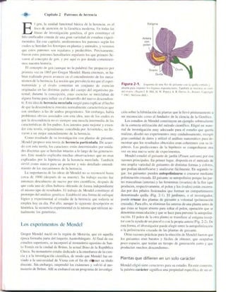 Griffiths anthony   genetica (7ed)