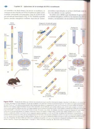Griffiths anthony   genetica (7ed)