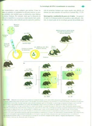 Griffiths anthony   genetica (7ed)