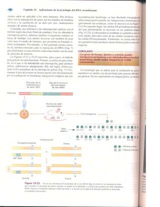 Griffiths anthony   genetica (7ed)