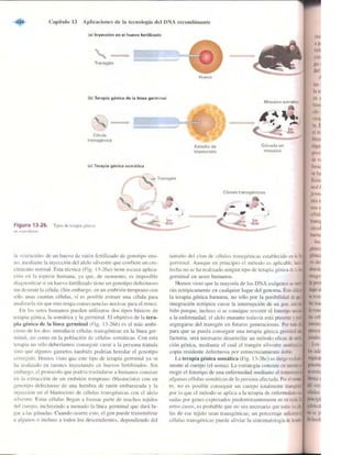 Griffiths anthony   genetica (7ed)