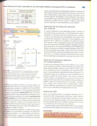 Griffiths anthony   genetica (7ed)