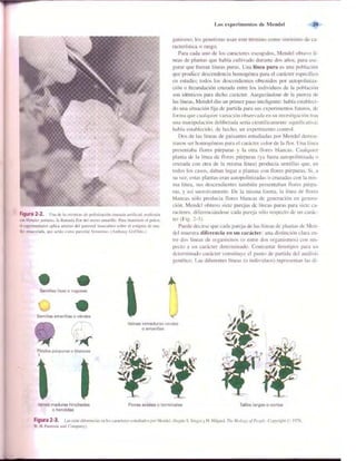 Griffiths anthony   genetica (7ed)