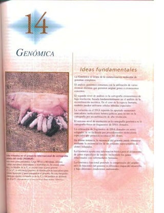 Griffiths anthony   genetica (7ed)